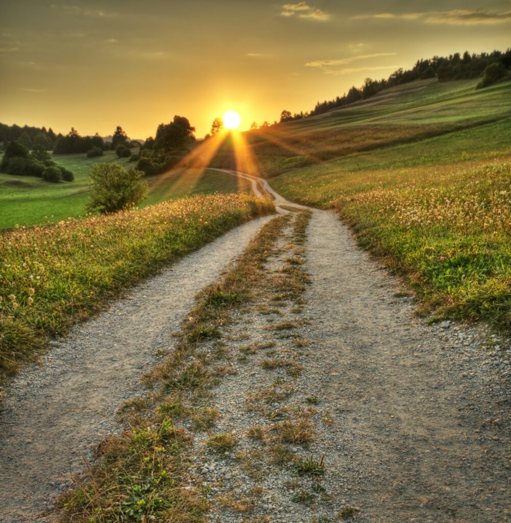 Countryside road, search for the secret to success