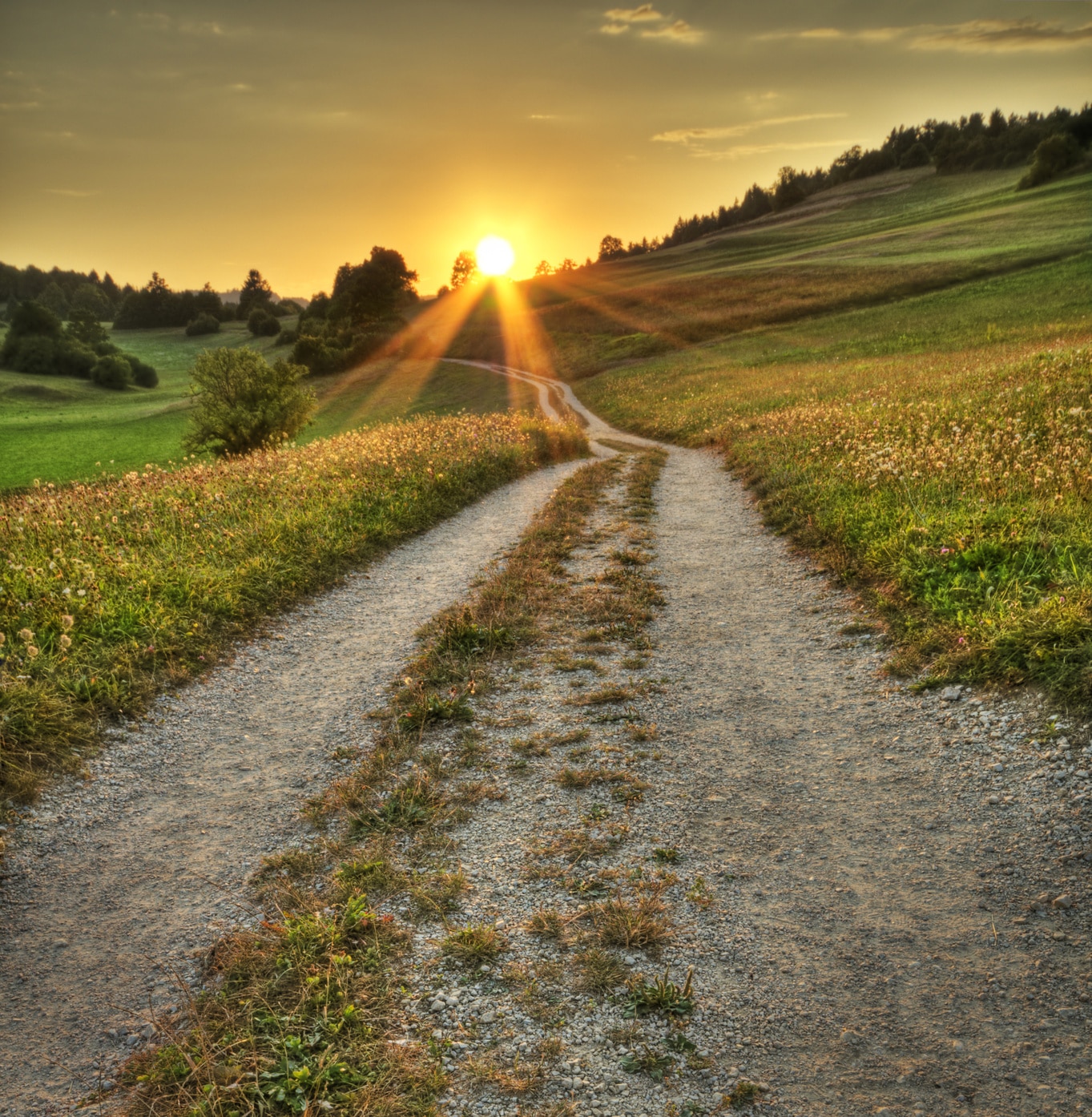 Countryside road, search for the secret to success
