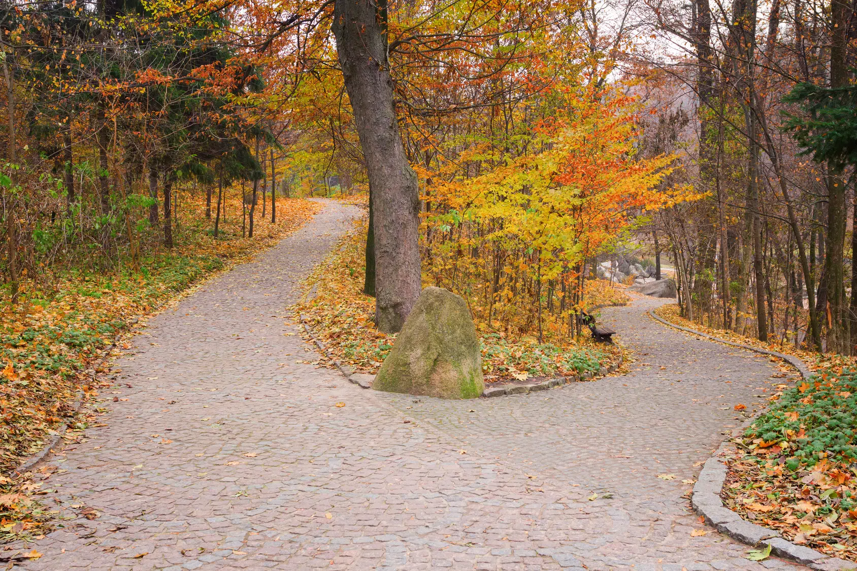 Pathway in the fall representing how to Discover Your Truth