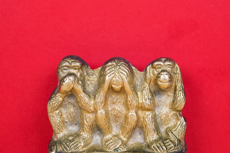 Monkey see, monkey hear, monkey do - What's Holding YOU Back?