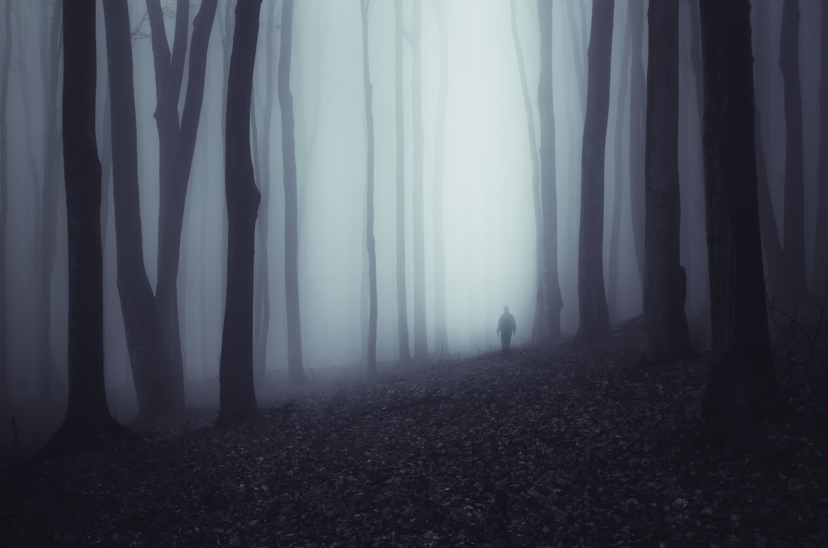 Person in a dark forest. How to Feel Safe in a Scary World.