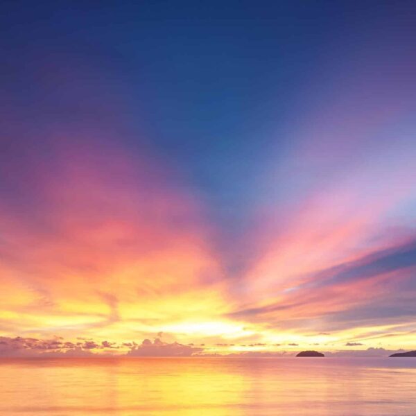 Vibrant Sunrise - Embracing A New Year, A New You