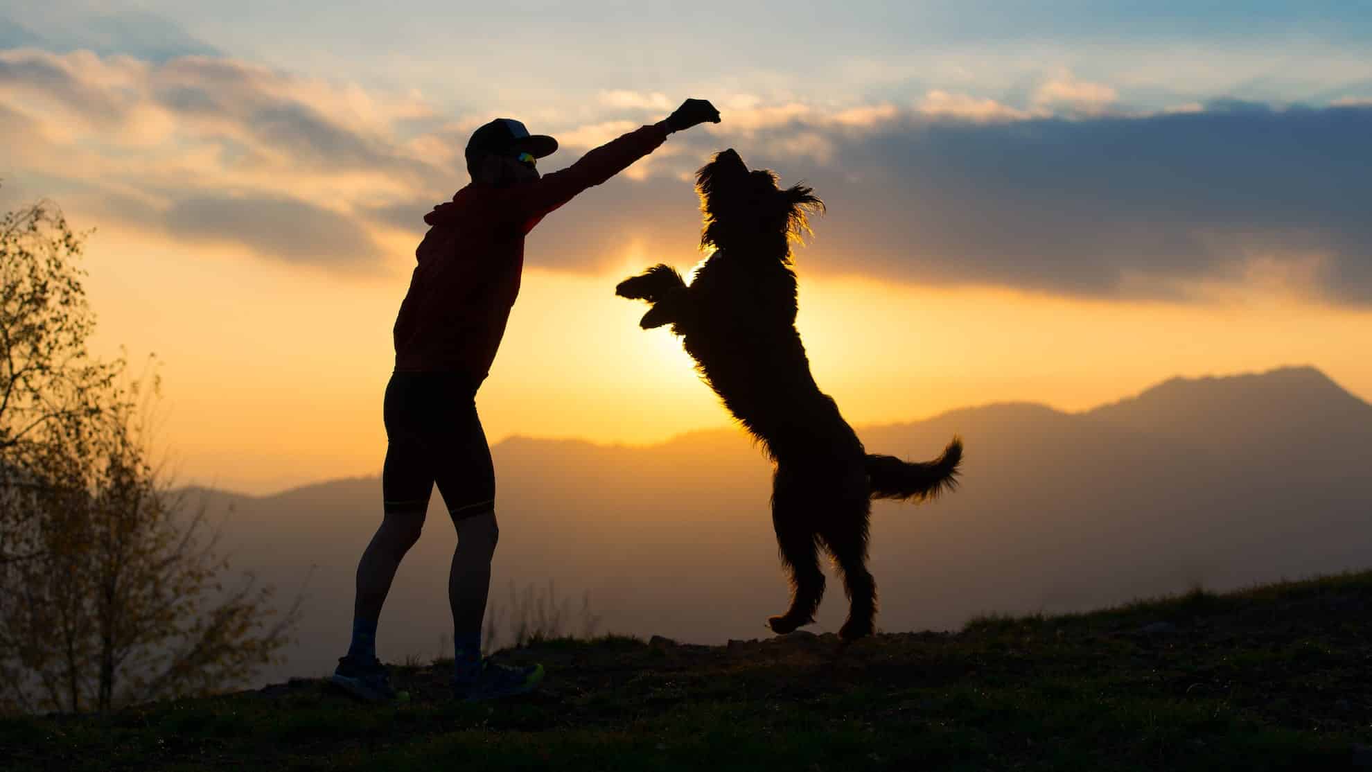 Man holding up a treat for a dog the art of self care practices