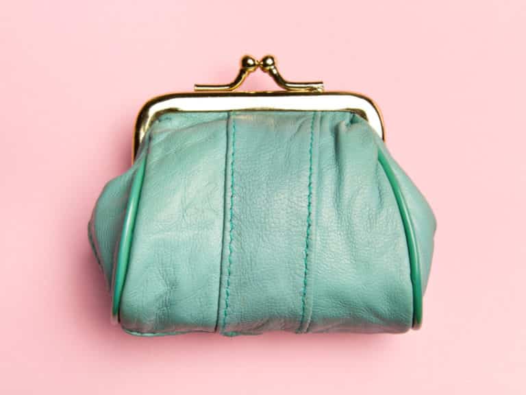Green coin purse representing Financial Success