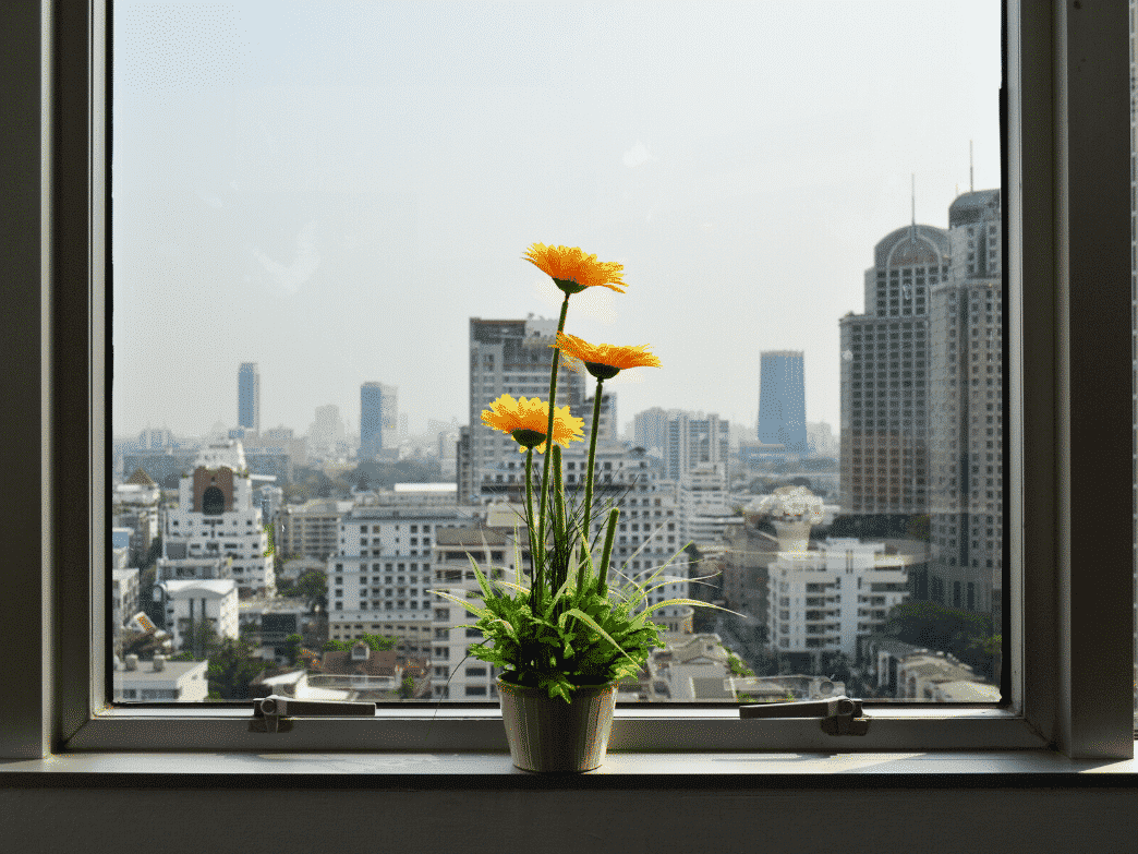 Flowers on a windowsill overlooking a city representing Building Community During Isolating Times