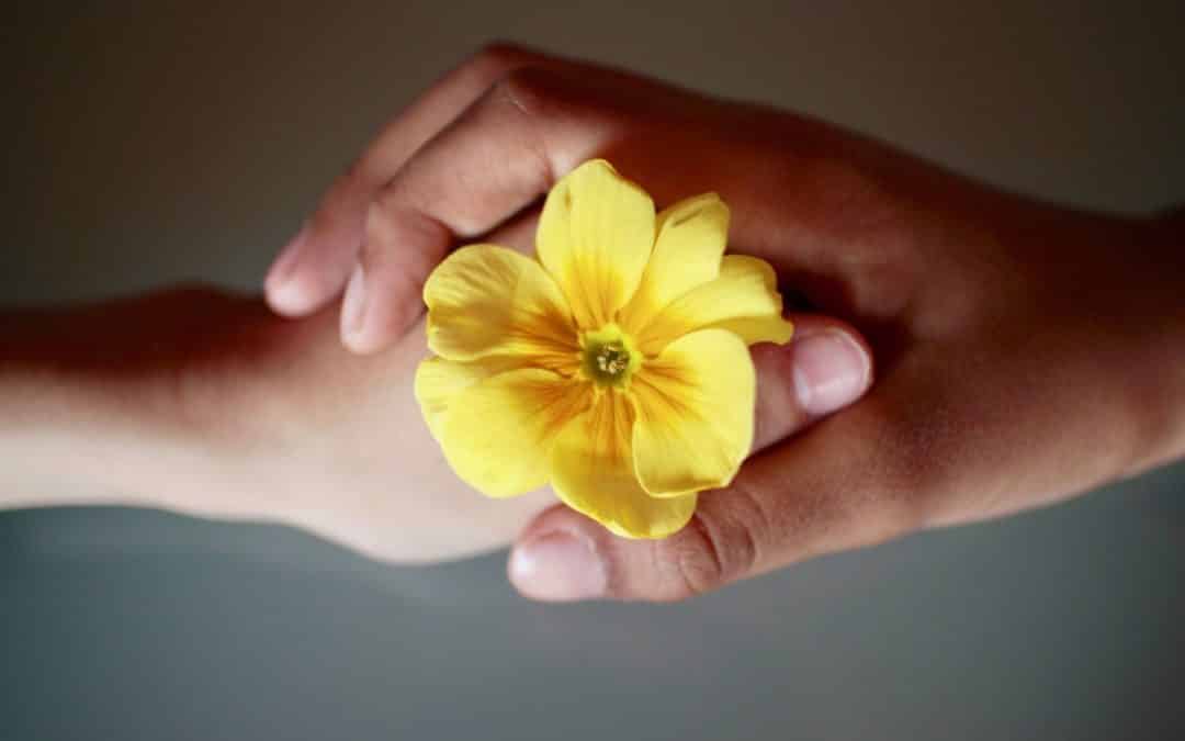Love is Respect