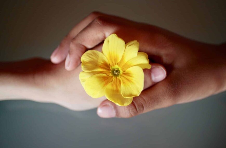 Couple holding flower together, representing love is respect