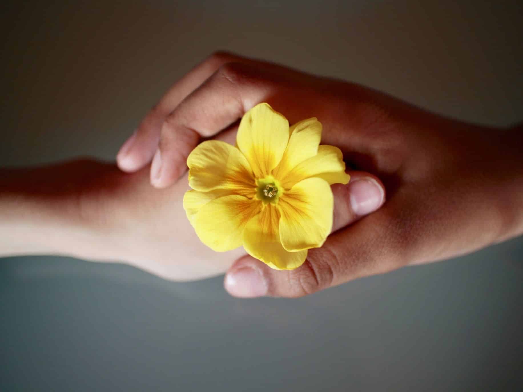 Couple holding flower together, representing love is respect