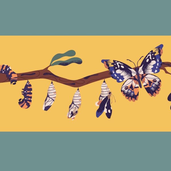 Caterpillar turning into a butterfly in stages representing Reinvent Yourself