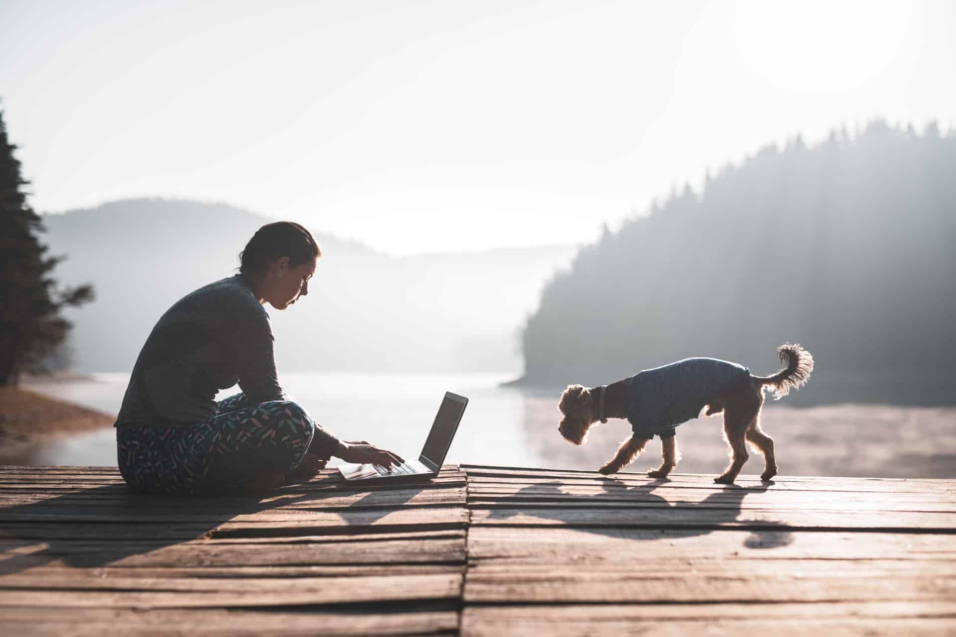 person using laptop working outdoors with dog attending online life coaching