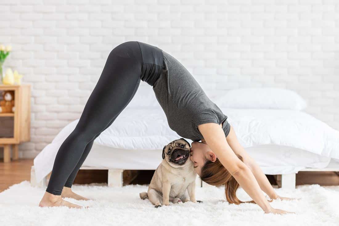 Woman doing yoga with her Pug, practicing personal growth