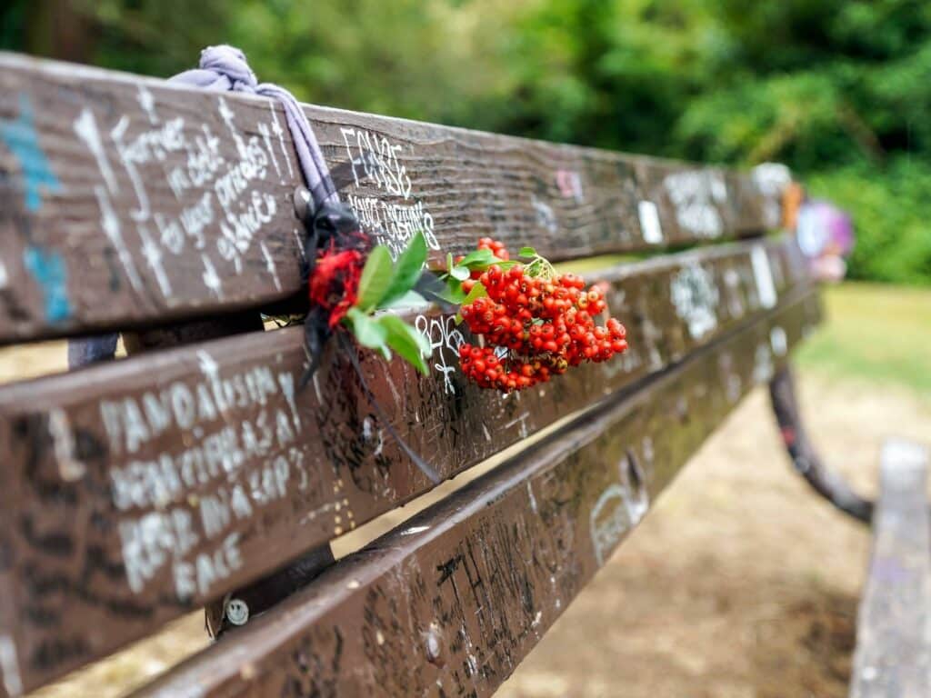 Kurt Cobain memorial bench representing Create Peace, Love and Empathy out of Pain and Suffering