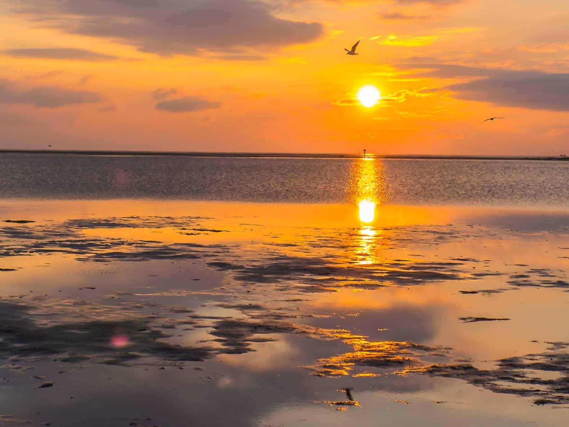 Orange sunset over water with bird flying