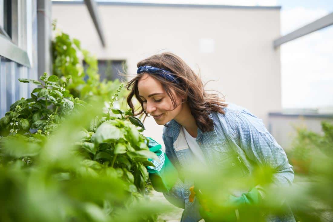 Woman gardening, smelling flowers