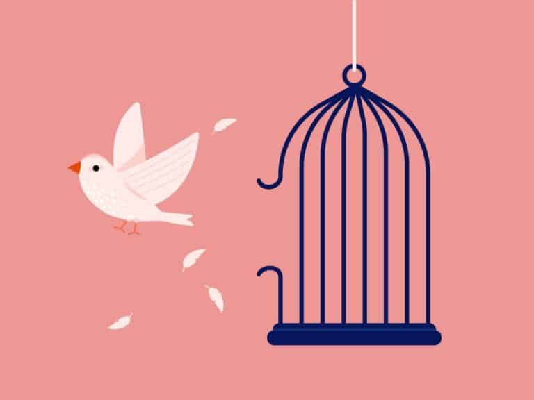 Bird finding freedom, breaking free from its cage.