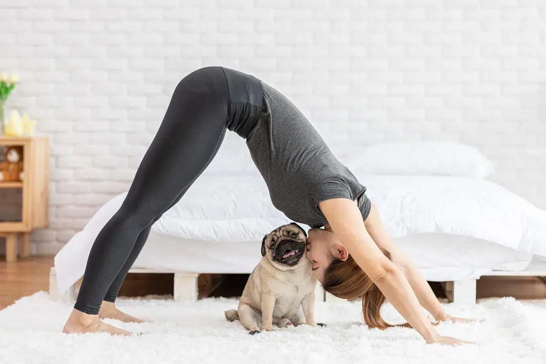 A person with a dog doing yoga