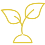 Healing From Heartbreak Program - Module 6 - Breakup to Breakthrough