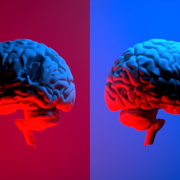Two human brains side by side, one lit in red and the other in blue, symbolizing political polarization and differing beliefs.