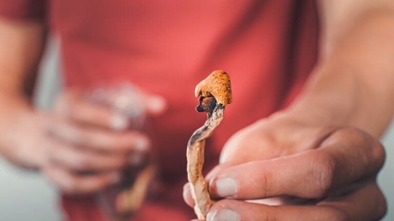 Close-up of a person holding a dried psilocybin mushroom, commonly associated with psychedelic therapy and research into mental health healing.